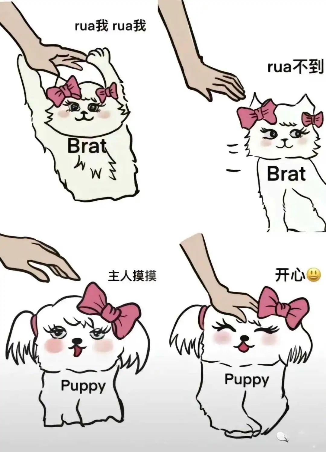 西檬之家字母圈的安全词是什么? 一