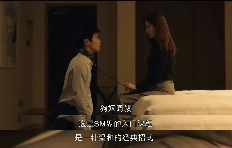 西檬之家s属性是什么意思?你是哪种S? 一