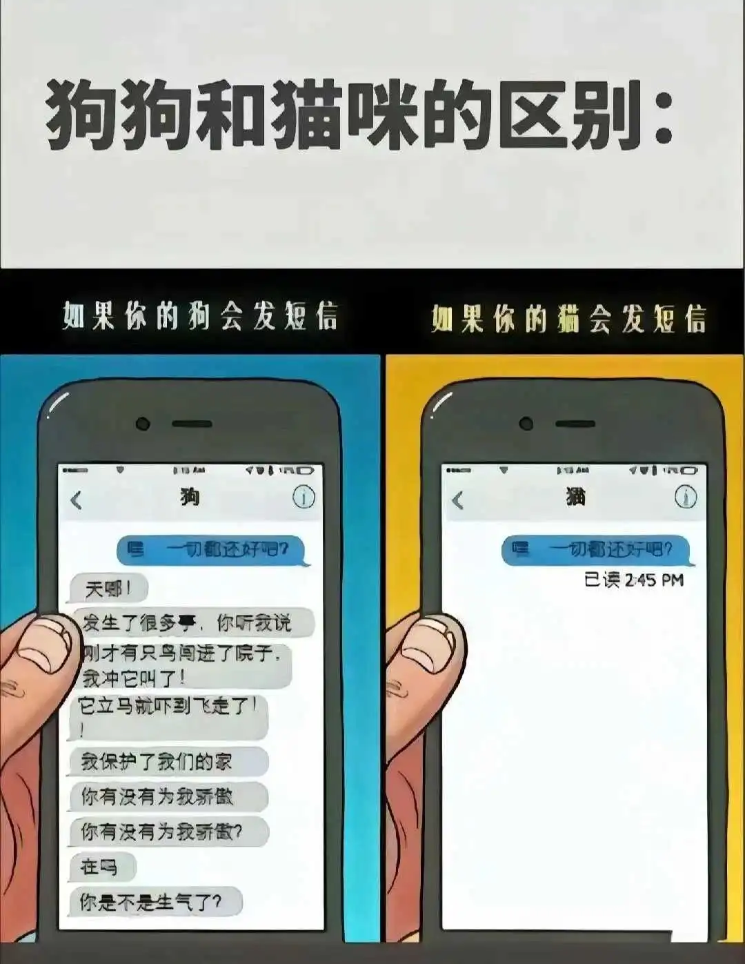 西檬之家字母圈SP是什么意思? 一