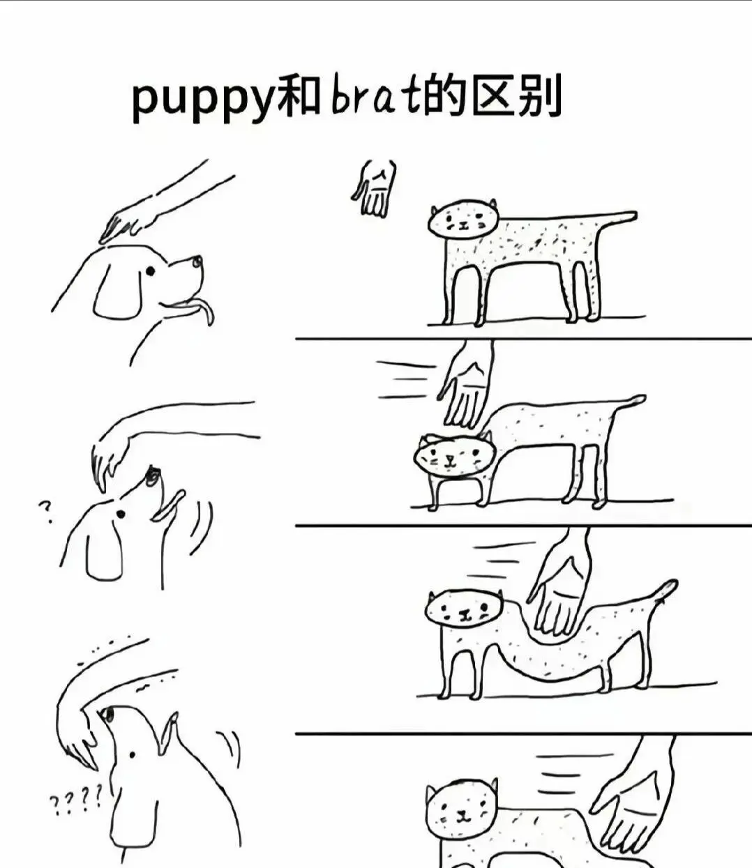 西檬之家CD变装是什么?字母圈新人入圈指南 一