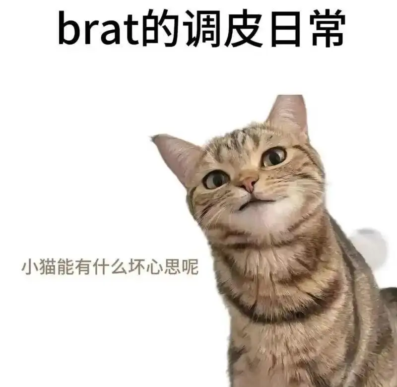 西檬之家Sub是什么?字母圈新人入圈必备指南 一