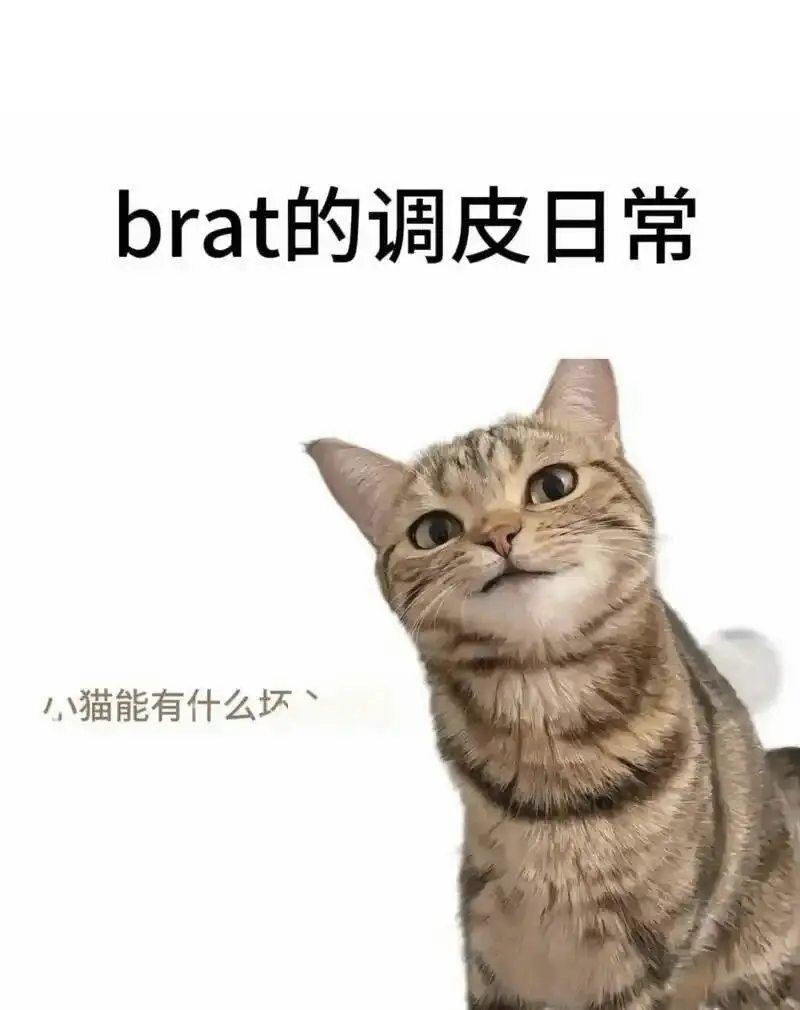 西檬之家BDSM是什么意思?字母圈新人如何入门 一