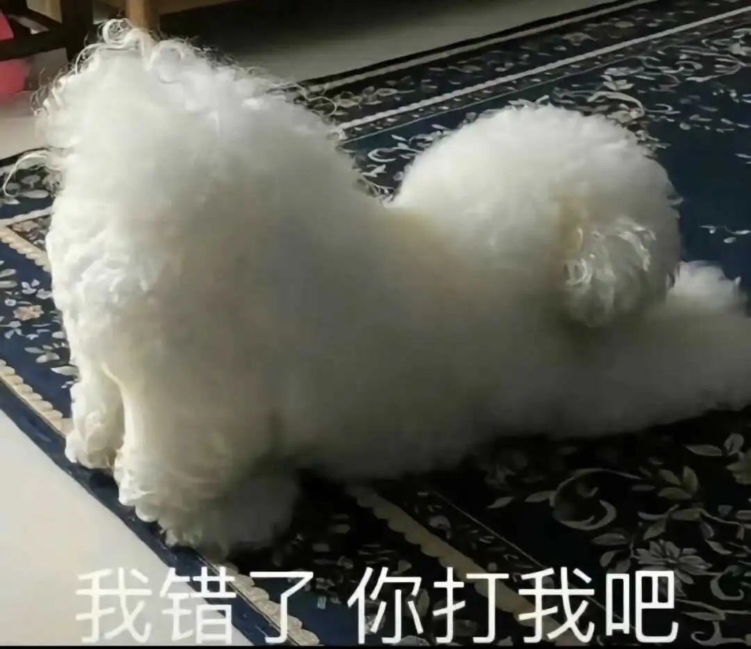 西檬之家s属性是什么?字母圈新人如何自我定位 一