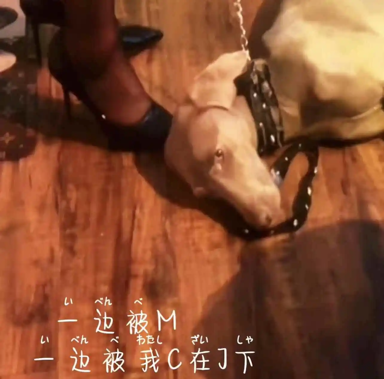 西檬之家字母圈Sub是什么? 一