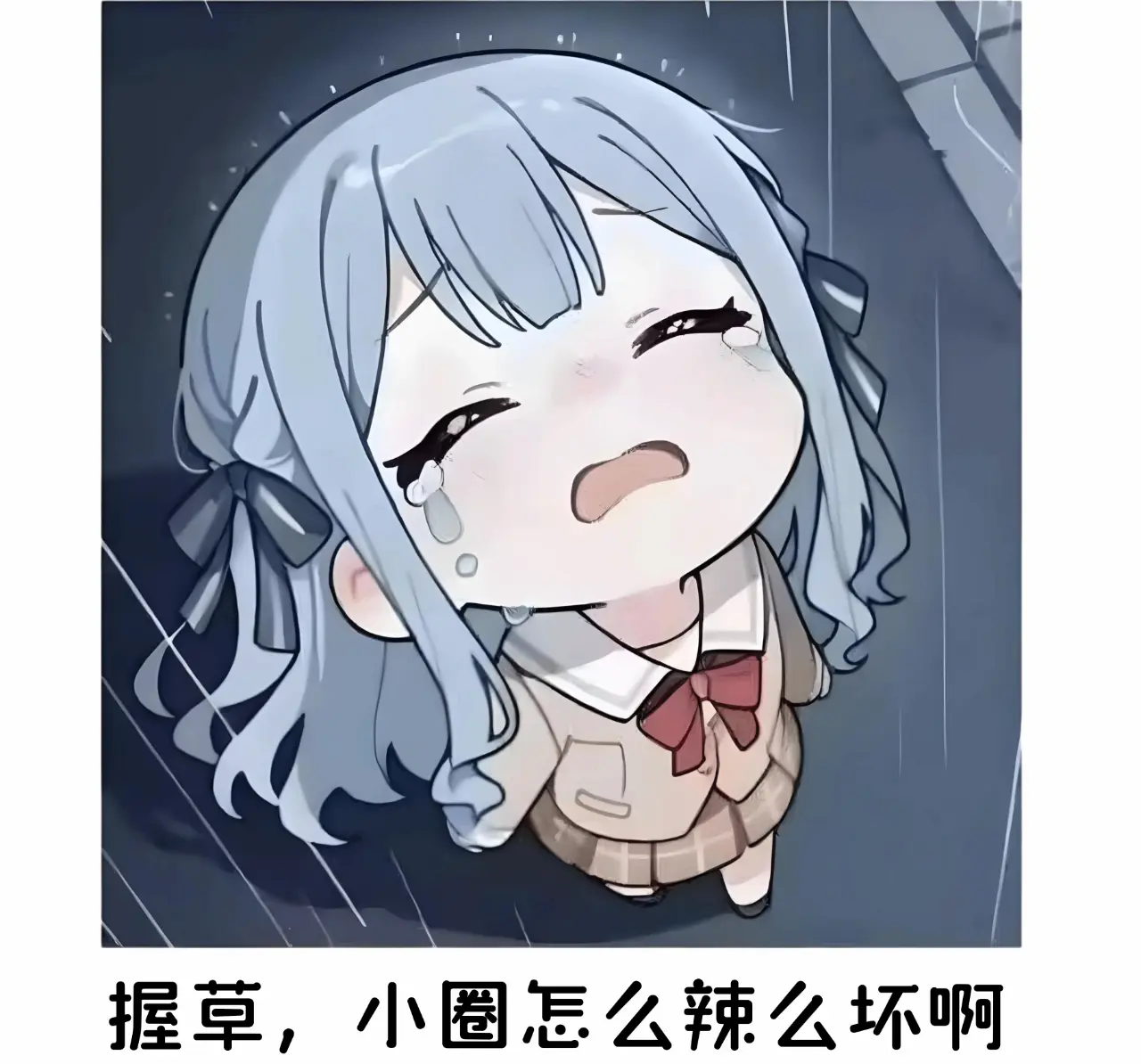 西檬之家TS是什么意思?字母圈新人入圈 一