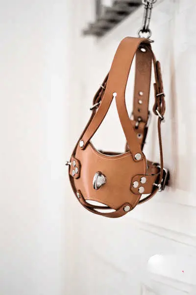 西檬之家m倾向是什么意思?字母圈新人必看 一